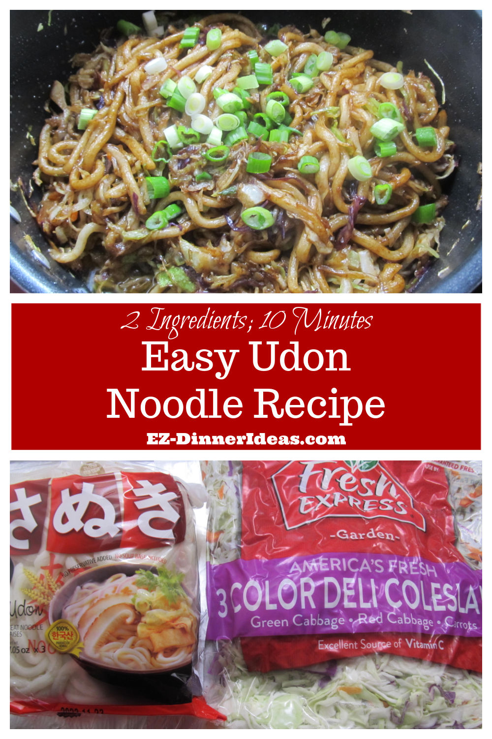 Easy Udon Noodle Recipe 2Ingredient 10Minute StirFried Udon