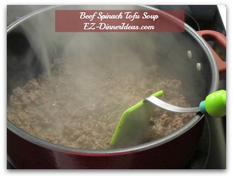 Beef Spinach Tofu Soup - Brown Beef Beef Spinach Tofu Soup - Brown Beef