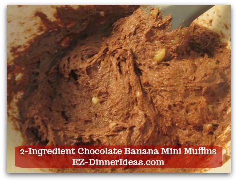 Devils Food Recipe | 2-Ingredient Chocolate Banana Mini Muffins - Till everything is well combined and no dry lumps.  The batter is very moist.