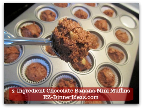 Devils Food Recipe | 2-Ingredient Chocolate Banana Mini Muffins - Use an ice-cream scoop about 2 tsp and scoop batter into each liner.