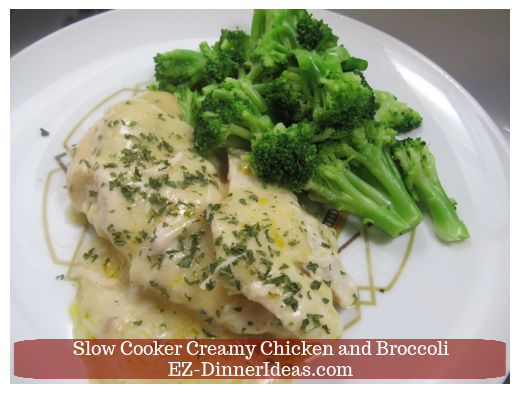 Creamy chicken and broccoli served elegantly Creamy chicken and broccoli served elegantly