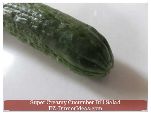 The end of cucumber where to start slicing The end of cucumber where to start slicing