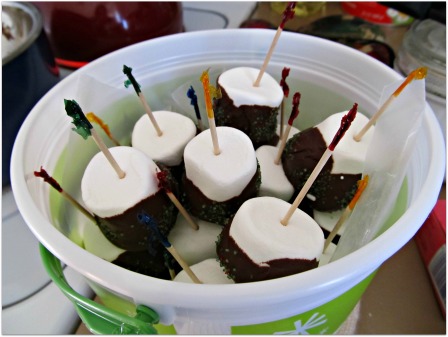 Chocolate Marshmallow Pops
