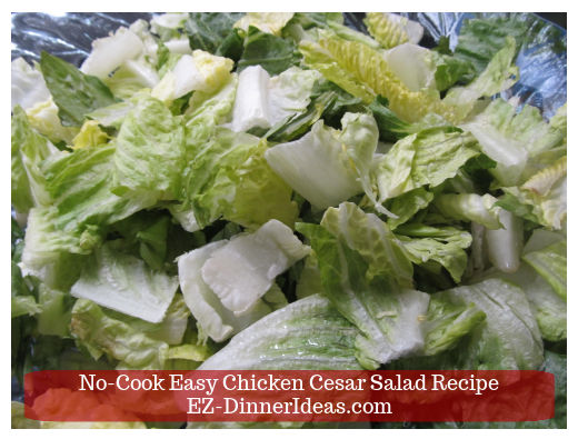 Romaine lettuce in salad bowl