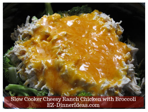 Melted cheddar cheese on top of chicken mixture Melted cheddar cheese on top of chicken mixture
