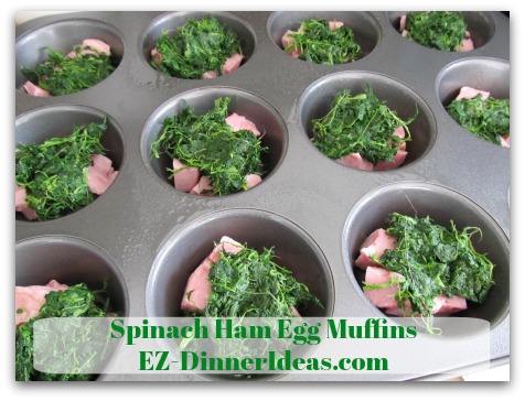 Spinach Ham Egg Muffins - Divide 1 box of thawed frozen spinach among 12 cups